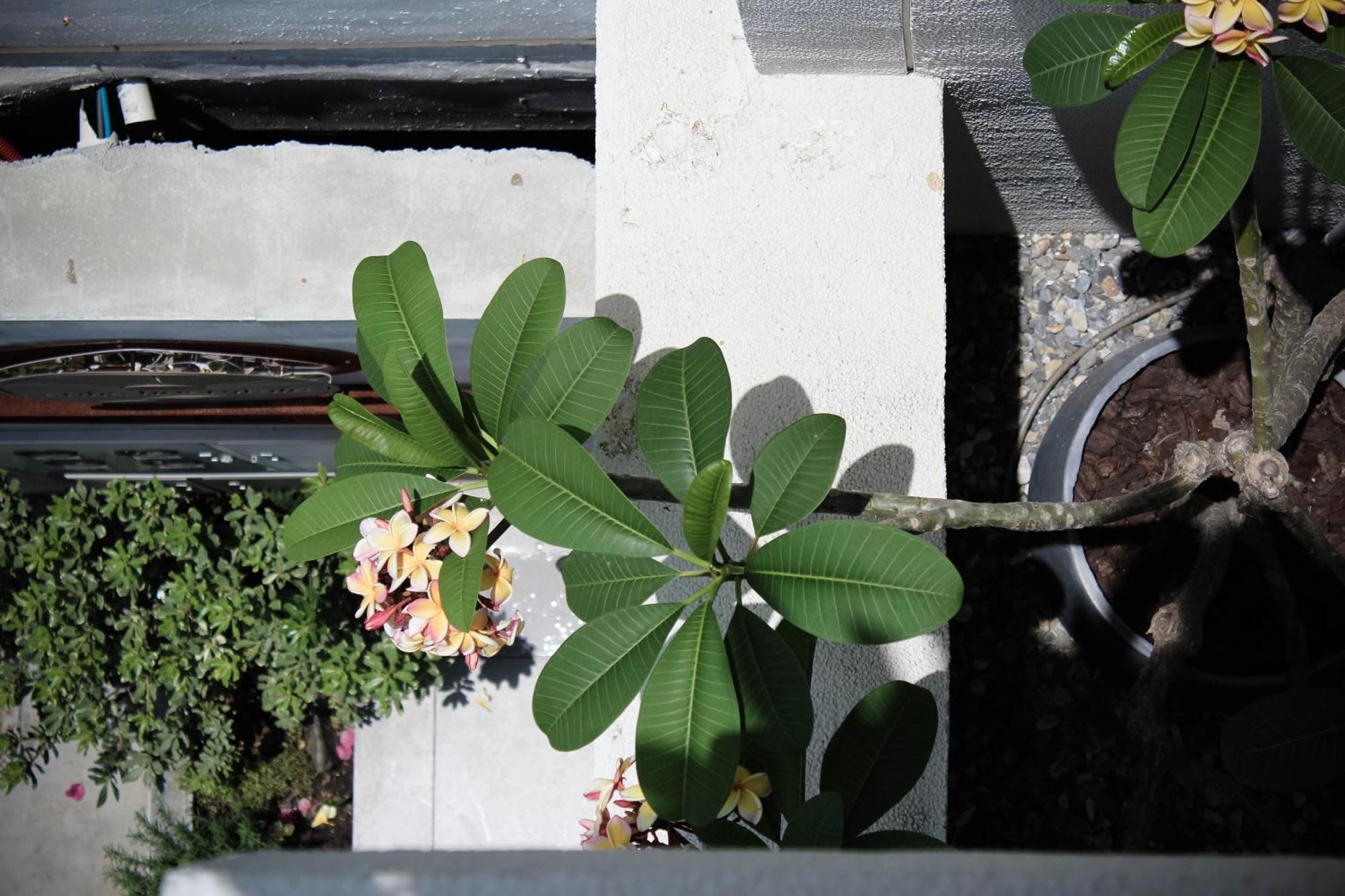 Soli Hospitale 宿里旅行舍 Hualien City Exterior photo